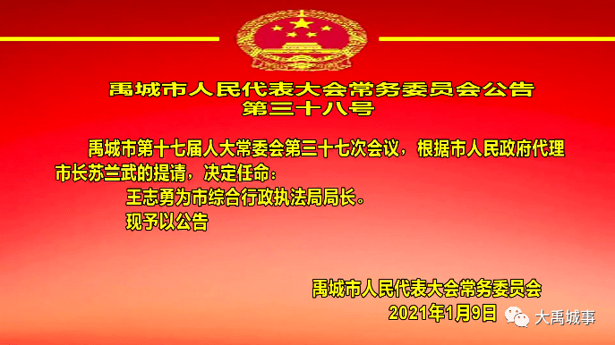 禹城市图书馆人事任命动态深度解析