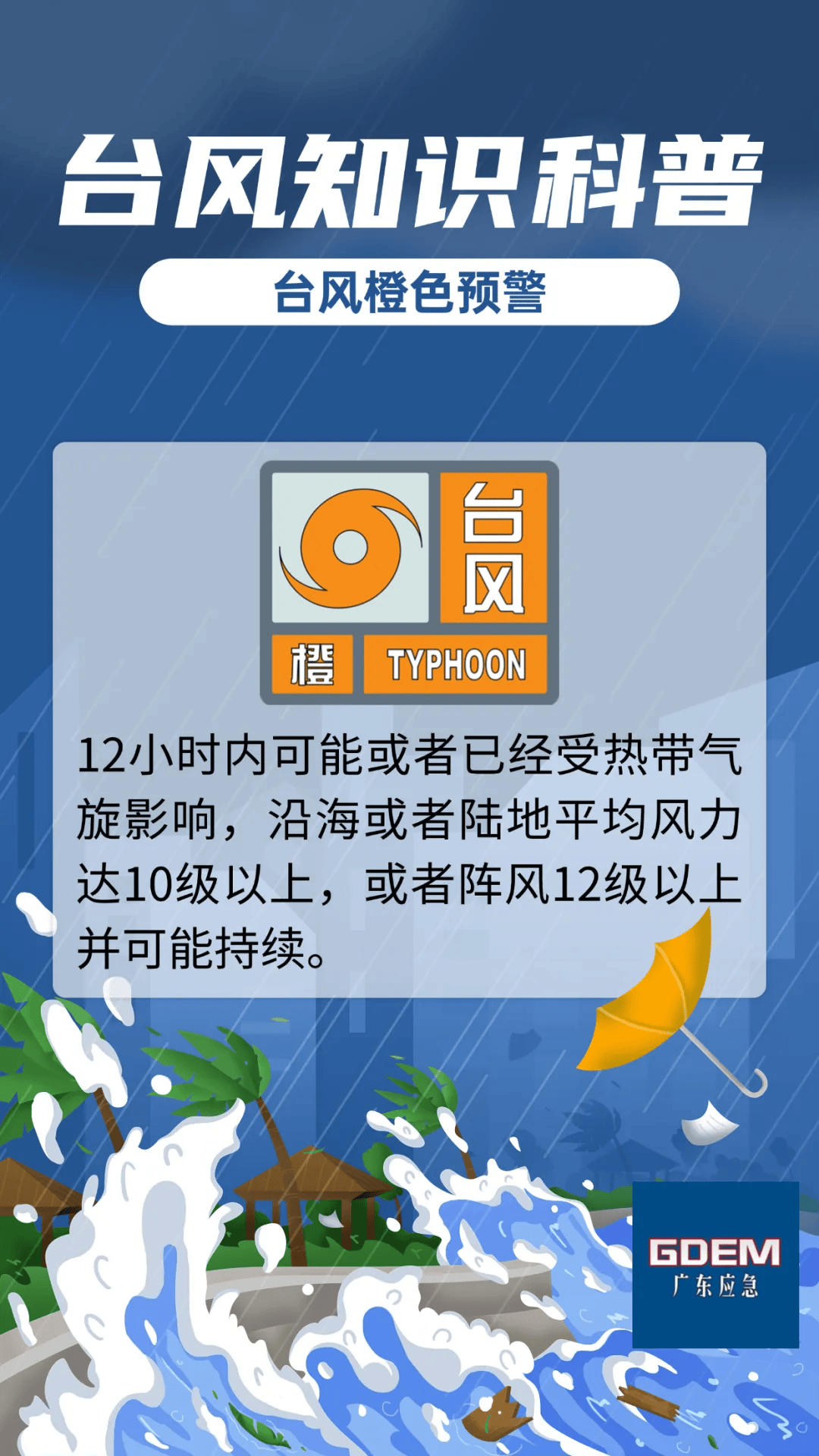 台风最新动态，影响与应对策略