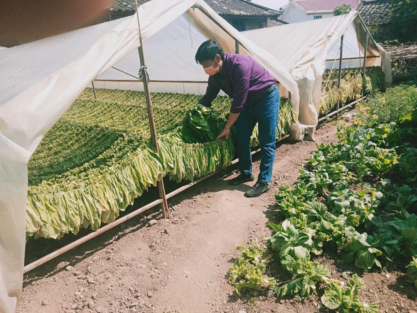 龙陵县防疫检疫站最新招聘公告及细节解析