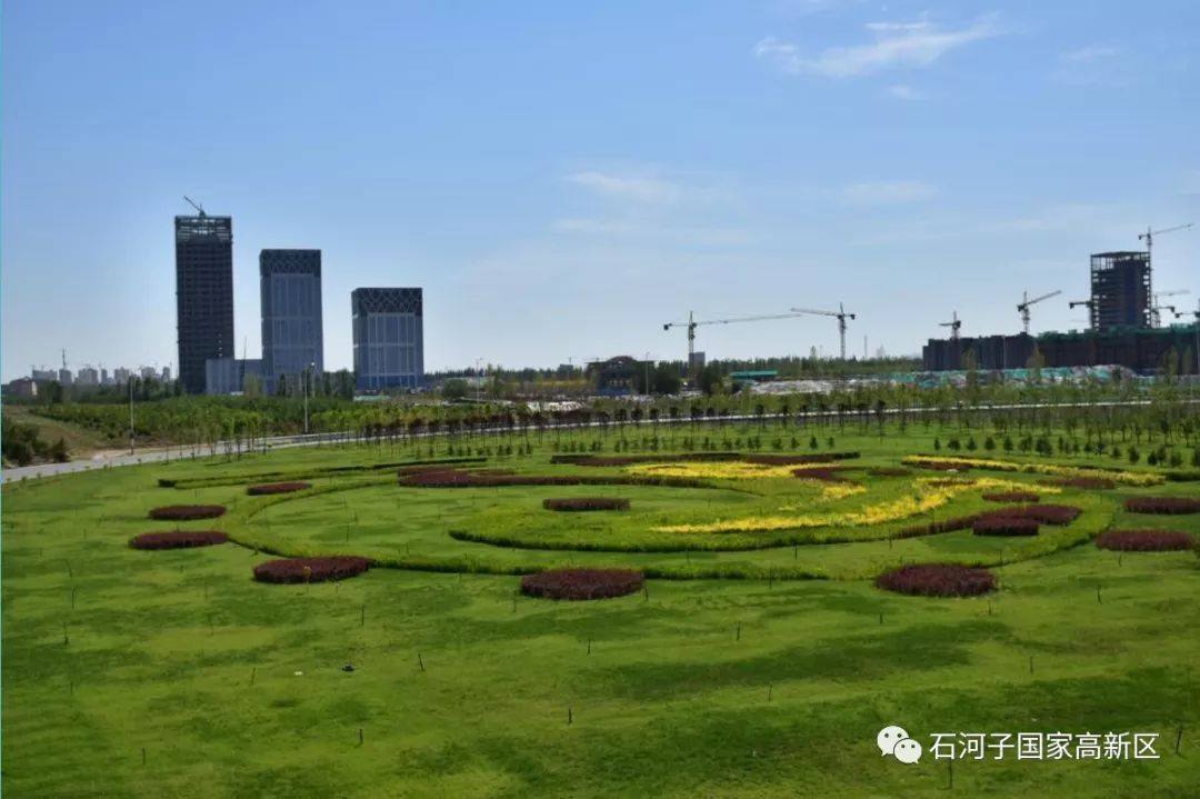 石河子高新区，科技创新高地的蓬勃发展最新消息