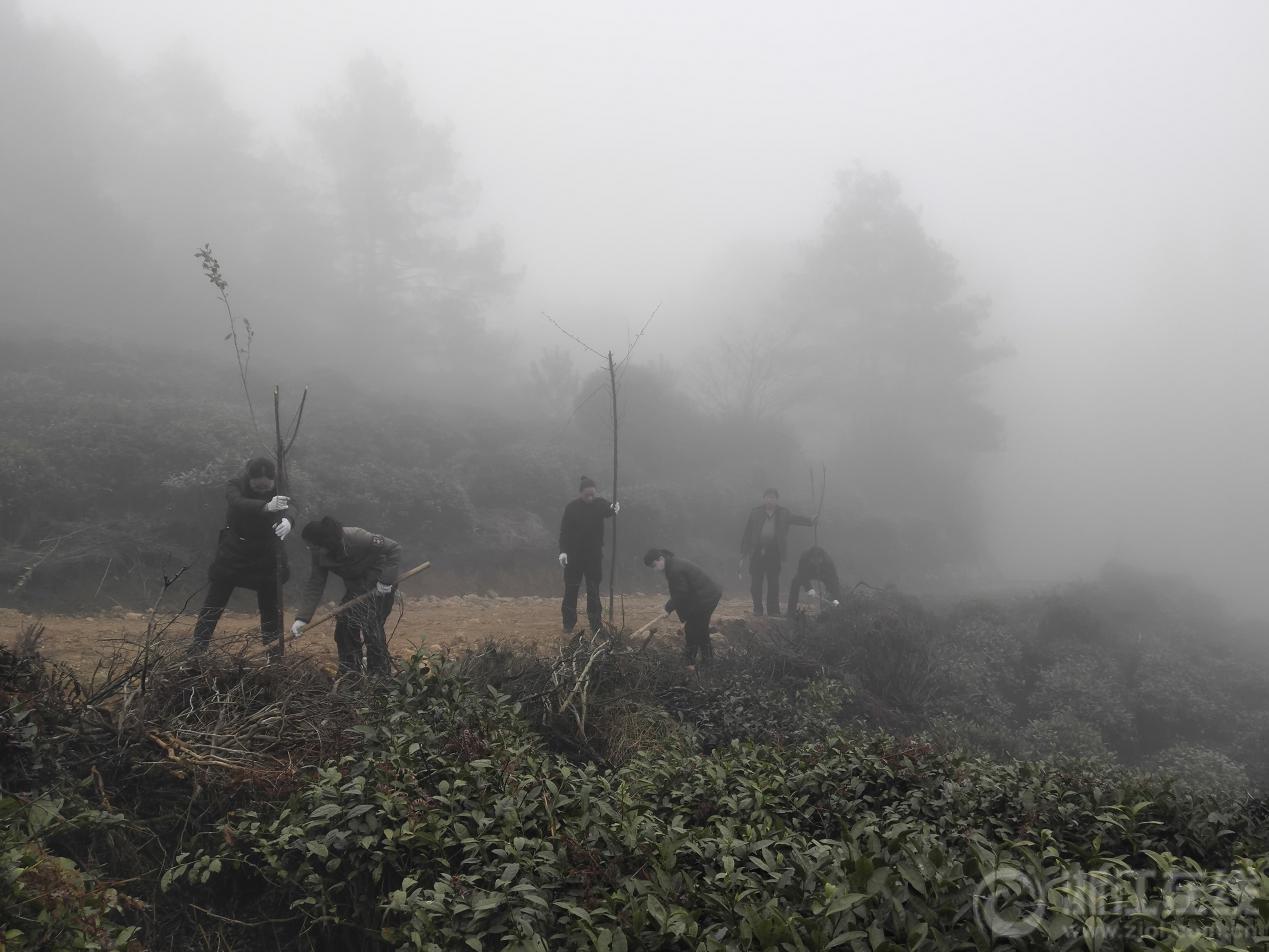 景宁畲族自治县防疫检疫站领导团队介绍