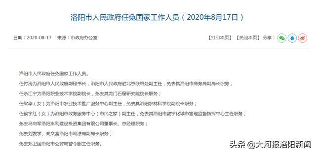 宜阳最新消息全面解读与分析