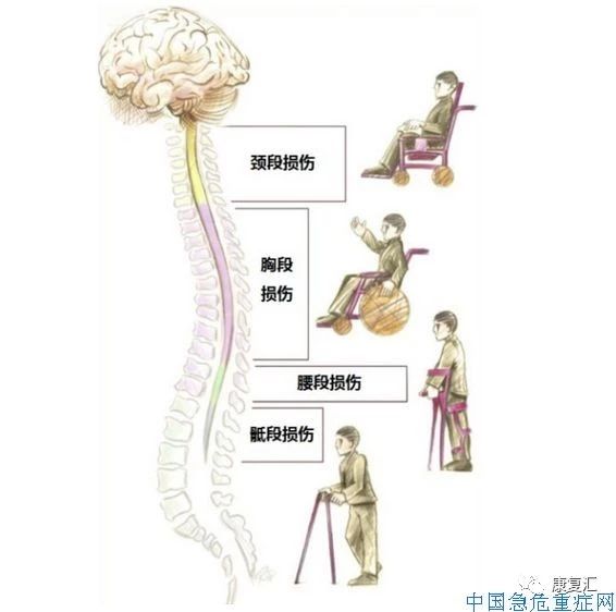 冰糀灬楼茱 第2页