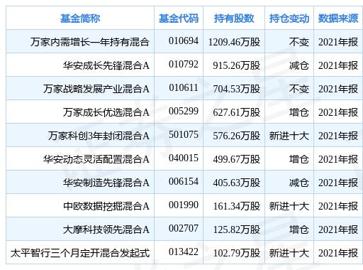 中钨高新引领行业变革，铸就辉煌未来，最新消息揭秘