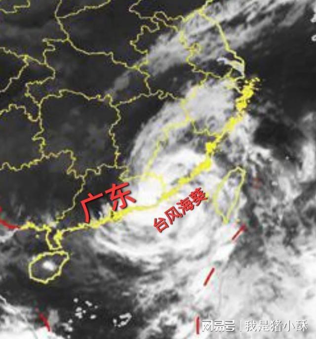 台风海葵最新动态，影响及全面应对措施解析