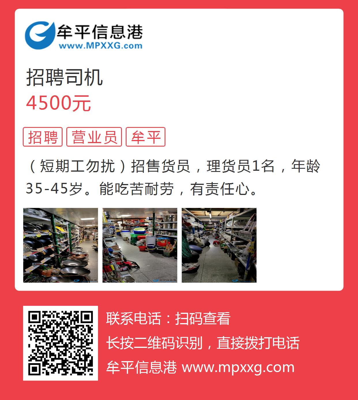 文登招聘信息港最新招聘，职业发展的黄金港口等你来探寻