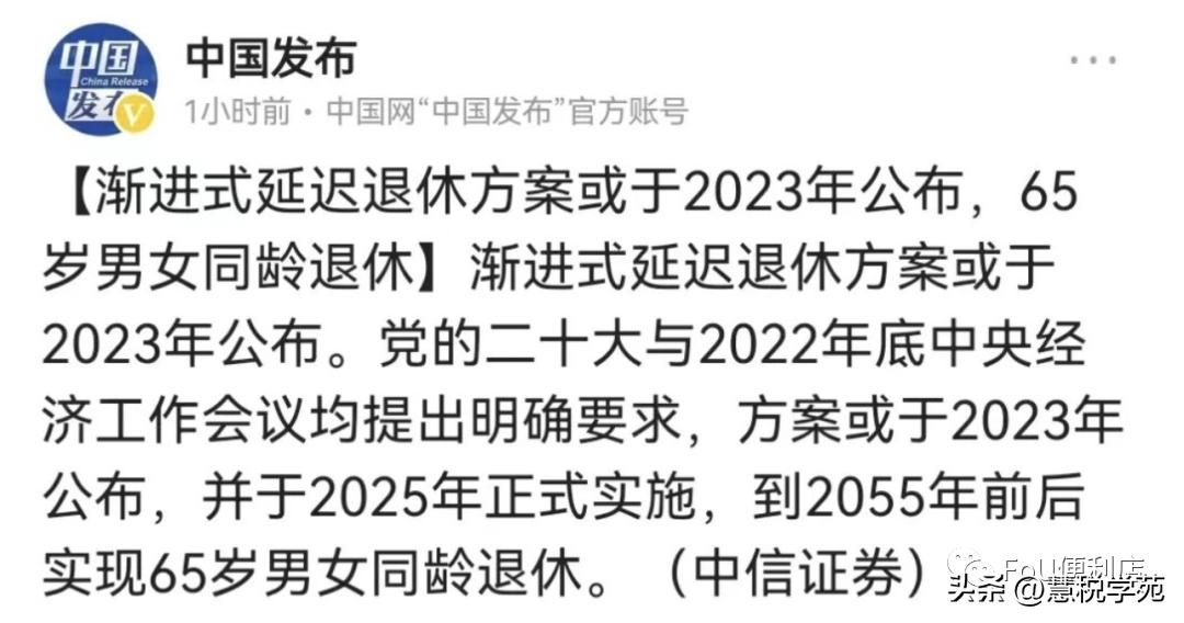 最新退休年龄延长规定及其社会影响探讨