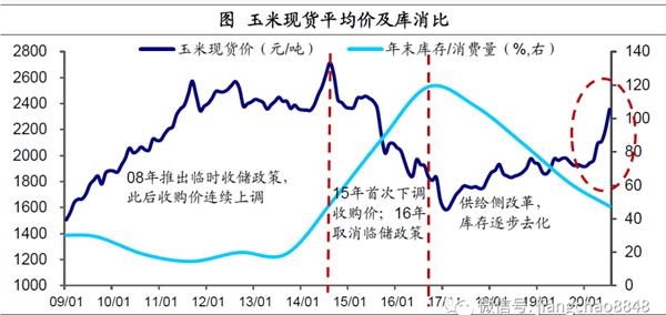 玉米价格最新行情解析