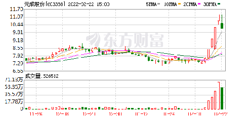 元成股份最新动态全面解读