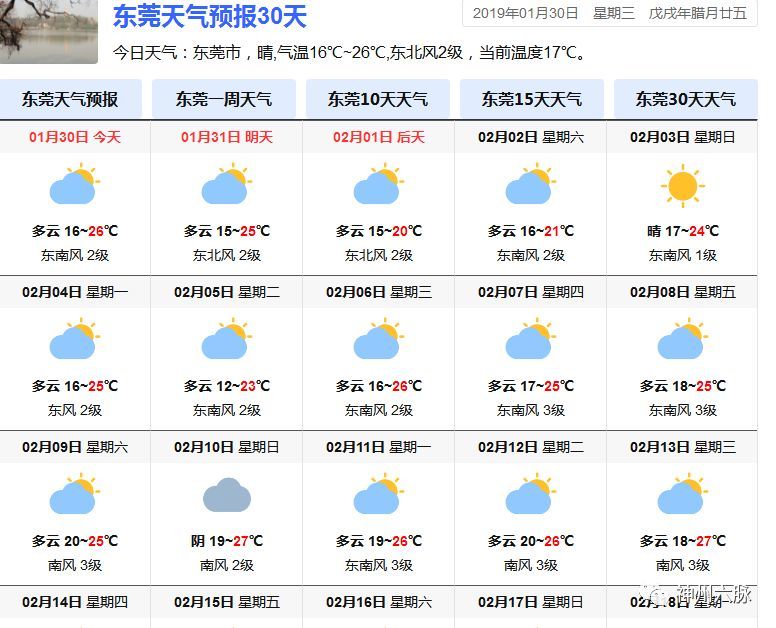 2025年1月7日 第14页