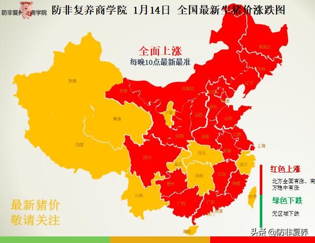 生猪最新价格动态解析与趋势展望