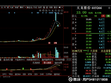 天龙股份最新深度消息解析