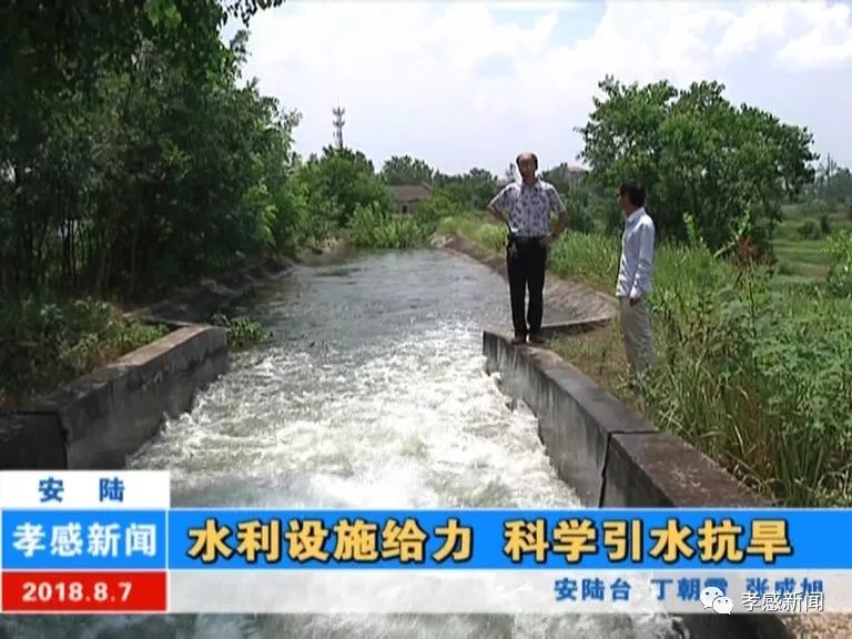 安陆市李店镇最新动态报道