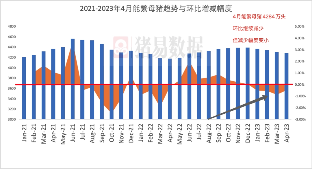 最新能繁母猪存栏数据揭示行业趋势及未来展望