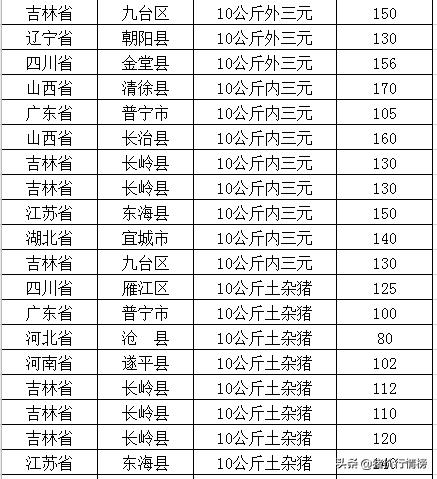 葱价格最新行情解析