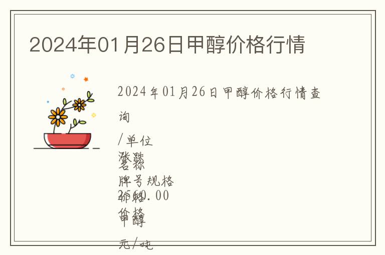 甲醇最新报价与市场动态分析，今日影响因素探讨