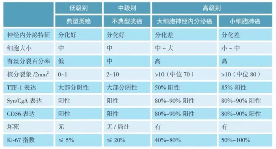 最新TNM分期标准在肿瘤诊疗中的应用及意义解析