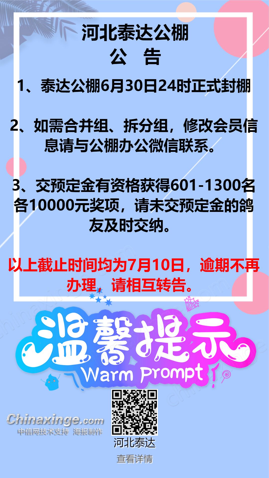 泰达公棚最新公告深度解读