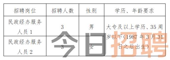 武定最新招聘信息总览