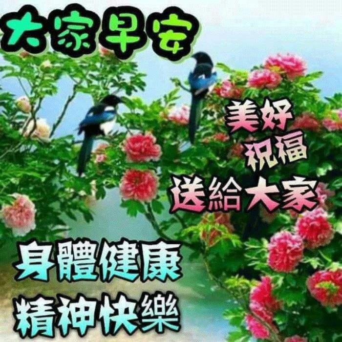 最新图片分享，启程美好一天