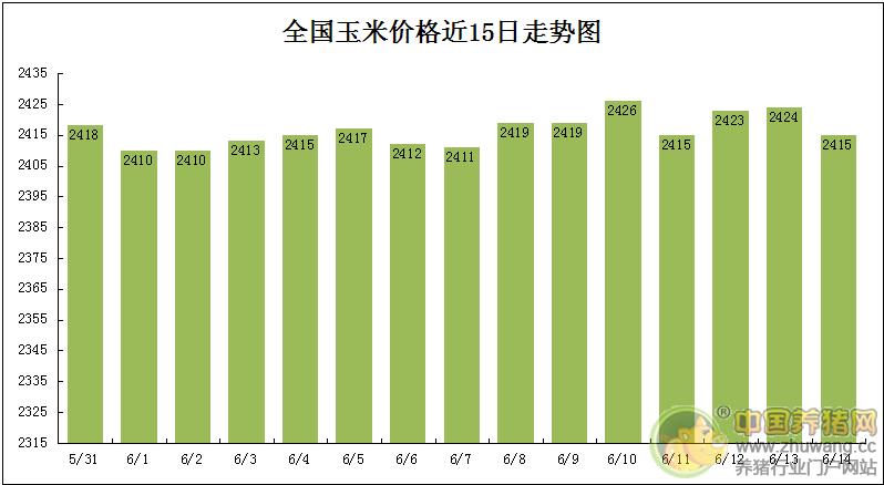 东北玉米最新价格行情解析