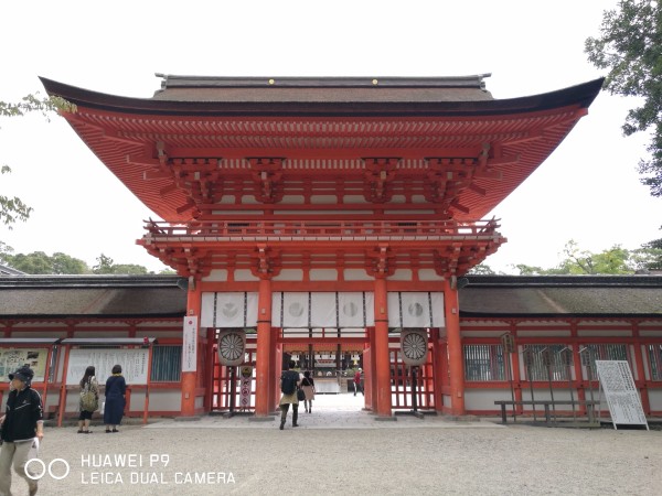 琉璃神社最新动态及其影响力